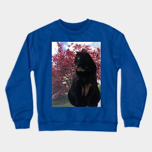 Pretty Kitty in the Window Crewneck Sweatshirt